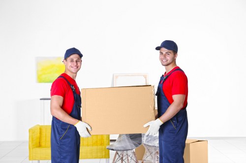 Removal van loading boxes for a same day move