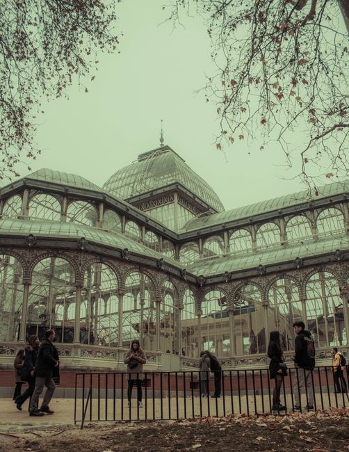A large glass and stone Victorian-style greenhouse with a domed roof and classical columns, situated in Crystal Palace Park, visible through a park landscape with leafless trees and green grass in the